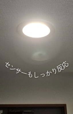 交換後のダウンライトの様子 文京区本郷